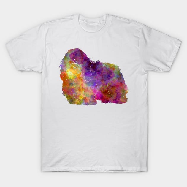 Coton de Tulear in watercolor T-Shirt by PaulrommerArt